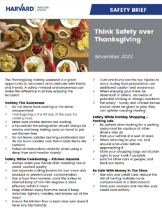 A safety brief from Harvard Protection Services titled "Think Safety over Thanksgiving" for November 2023. The document includes safety tips for holiday fire awareness, safe handling of kitchen hazards, and secure holiday shopping. It emphasizes being mindful and cautious during the festive season, reflecting our commitment to top-notch security services.