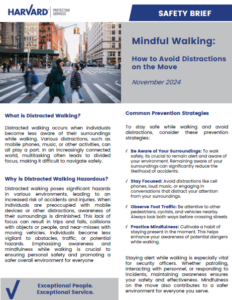 Safety brief on mindful walking and avoiding distractions, November 2024.